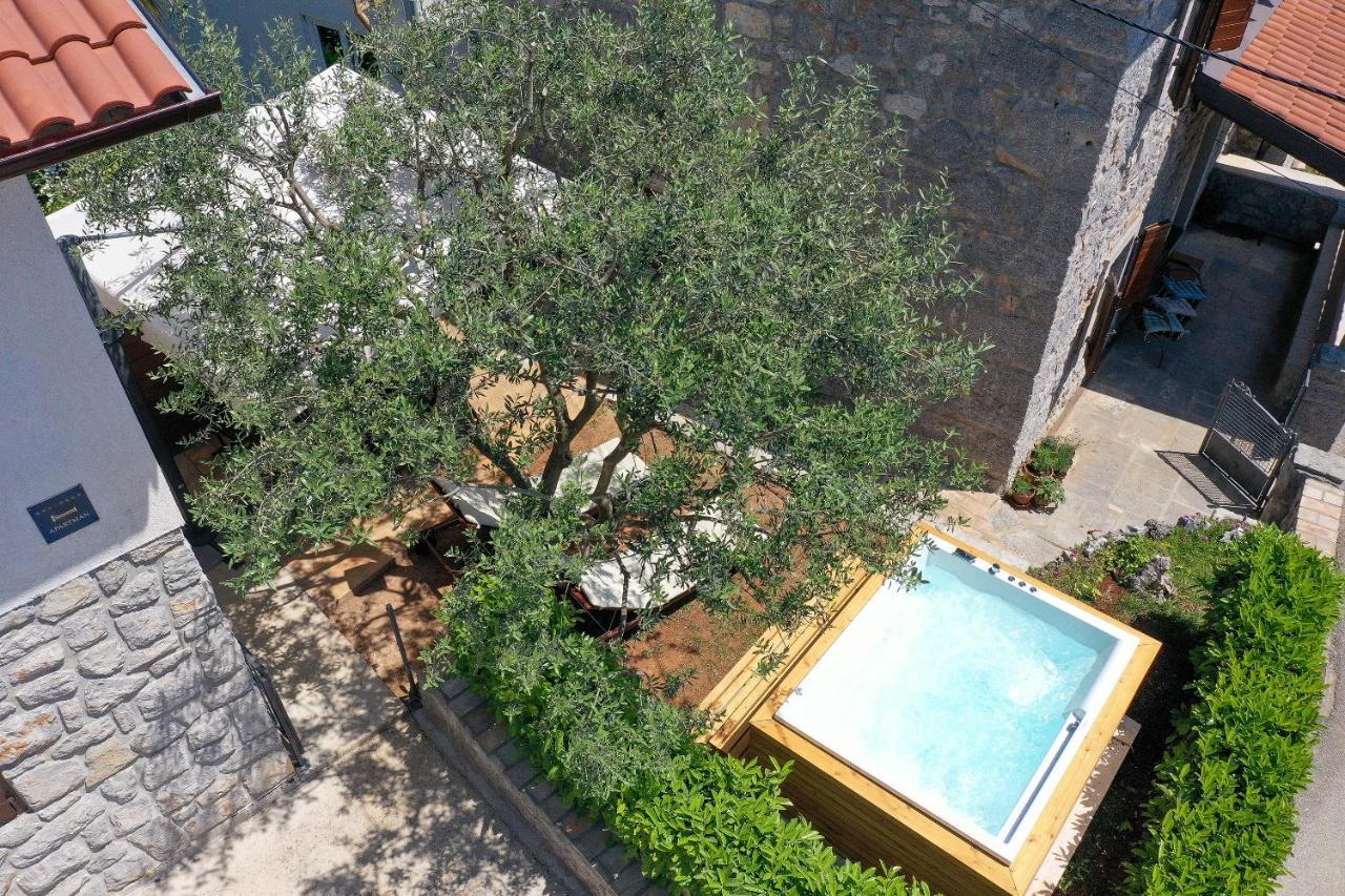 Villa Fani With Jacuzzi Ičići 外观 照片
