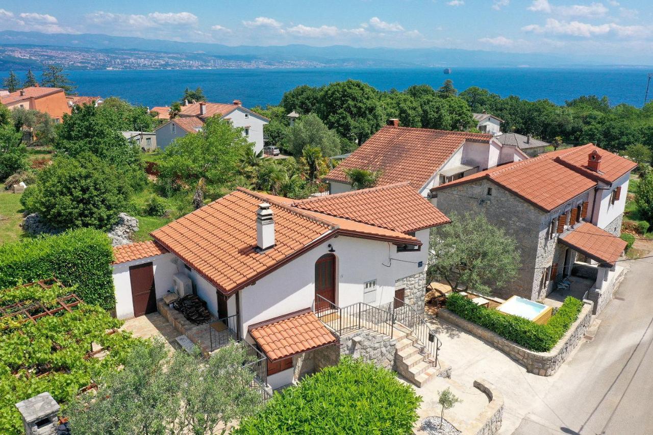 Villa Fani With Jacuzzi Ičići 外观 照片